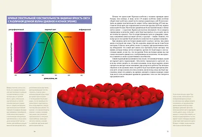 Искусство и восприятие. Биология зрения - фото 5