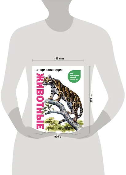 Животные. Все обитатели нашей планеты - фото 13