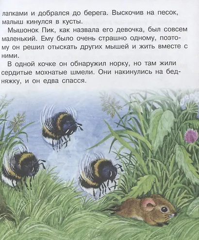 Мышонок Пик - фото 5