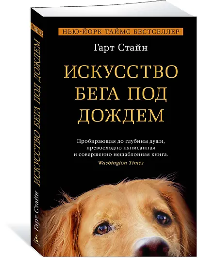 Искусство бега под дождем - фото 2