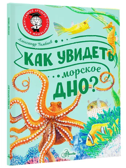 Как увидеть морское дно? - фото 3