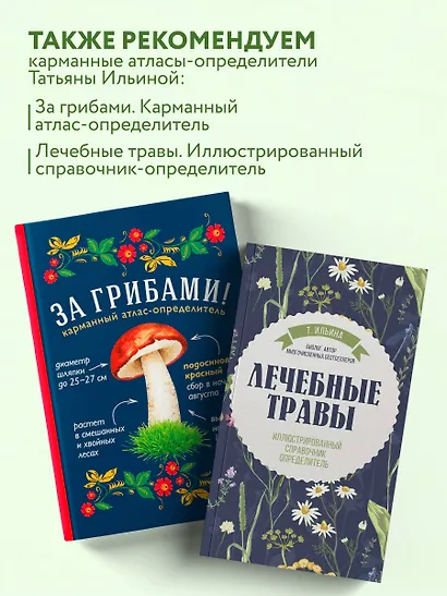 Аптечный огород. Справочник по сбору, хранению и применению целебных растений (новое оформление) - фото 10
