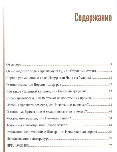 Тайна имени Шатура - фото 2