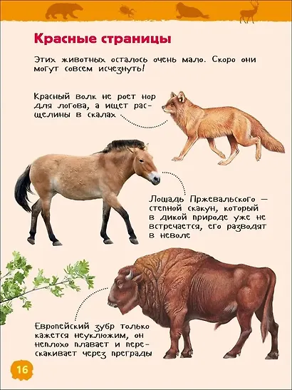 Красная книга России - фото 4