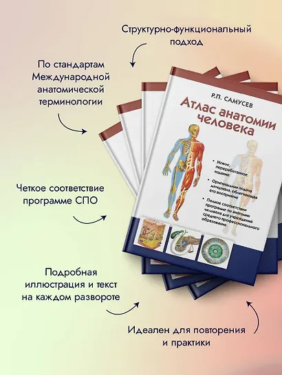 Атлас анатомии человека: учебное пособие для студентов учреждений среднего профессионального образования. 7 -е изд. - фото 4