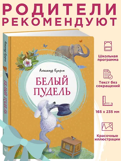 Белый пудель - фото 3