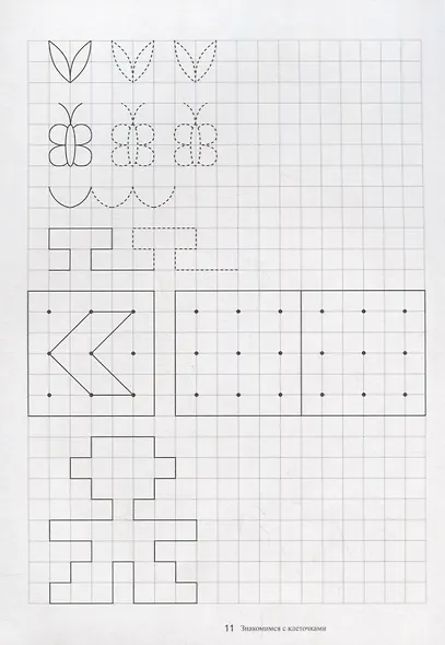 Папка дошкольника. Знакомимся с клеточками - фото 2