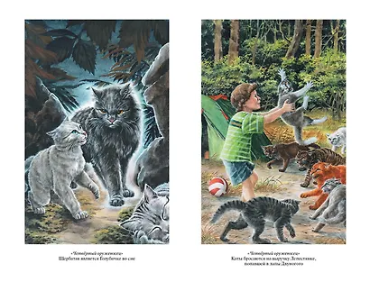 Четвертый оруженосец. Долгое эхо - фото 3