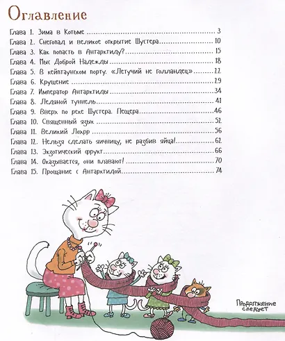 Антарктический "Котобой", или Приключения подо льдами - фото 6