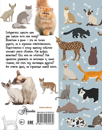 Кошки - фото 2