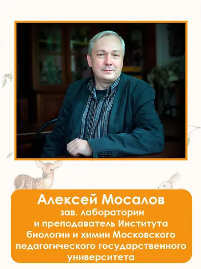 Такие разные животные - фото 6