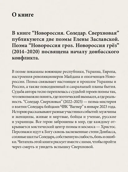 Новороссия. Соледар. Сверхновая - фото 5