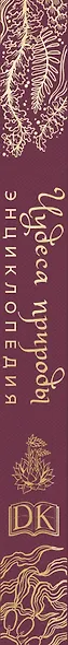 Чудеса природы. Энциклопедия - фото 10