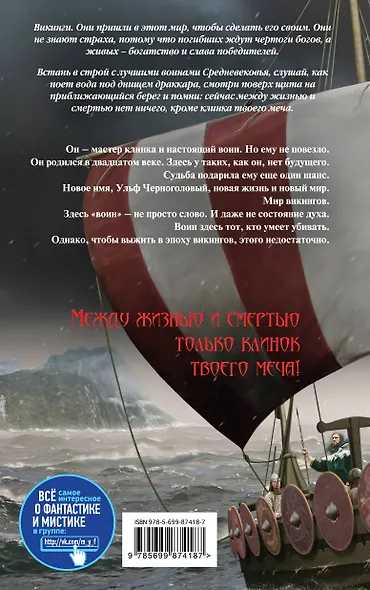 Викинг - фото 2