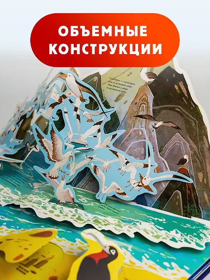 Подводный мир - фото 4