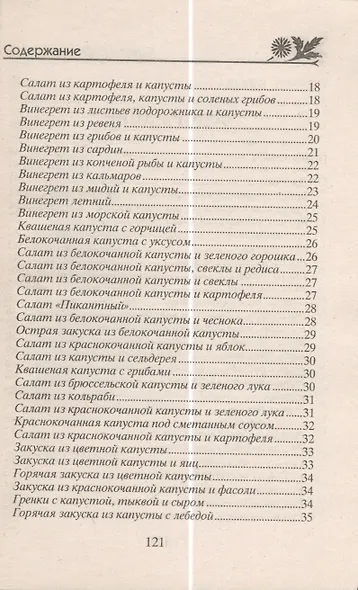 Готовим из капусты на завтрак, обед и ужин. Первые и вторые блюда, салаты и пироги, маринады и соленья - фото 3