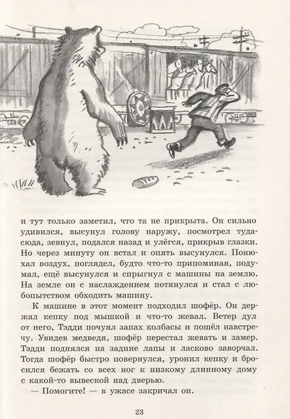 Белогрудка - фото 5