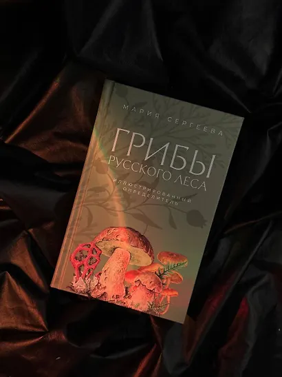 Грибы русского леса. Иллюстрированный определитель - фото 4