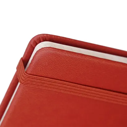 Записная книжка А6- 96л кл. "Joy Book. Имбирный пряник" 7БЦ., иск.кожа, тонир.форзац, тонир.блок, скругл.углы, сшит.блок, ляссе, резинка, карман на задн.форзаце - фото 4