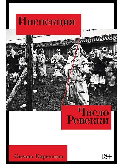 Инспекция. Число Ревекки - фото 1