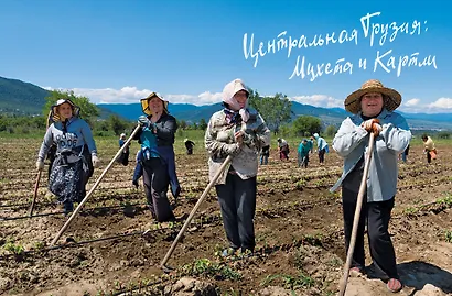 Грузия. Люди. Горы. Виноград - фото 14