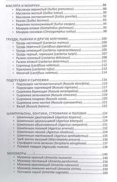 Лекарственные грибы России - фото 3