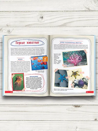 Атлас планеты Земля - фото 6