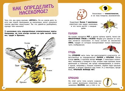 Самые необычные животные и места мира - фото 5