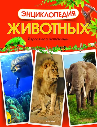 Энциклопедия животных. Взрослые и детёныши - фото 1