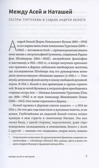 Андрей Белый и Наташа Тургенева: Роман в письмах - фото 3