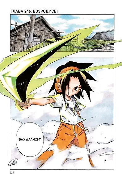 Король шаманов. Том 14 (Shaman King). Манга - фото 6