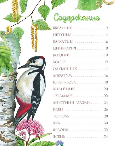 Растения в городе - фото 7