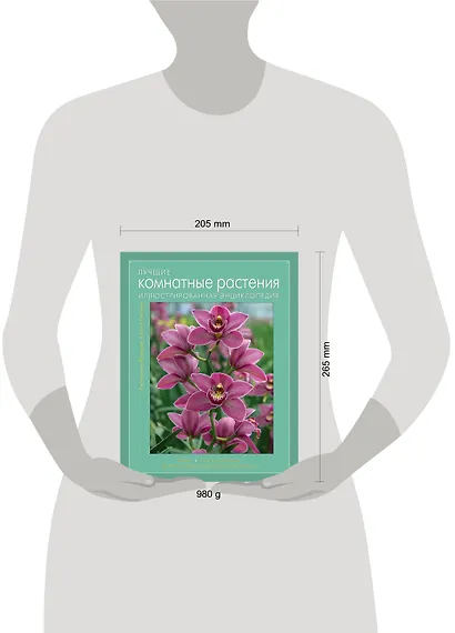 Лучшие комнатные растения: иллюстрированная энциклопедия - фото 3