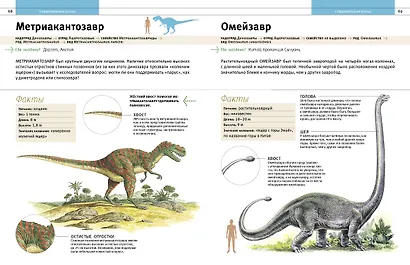 Динозавры и другие древние животные Земли - фото 4