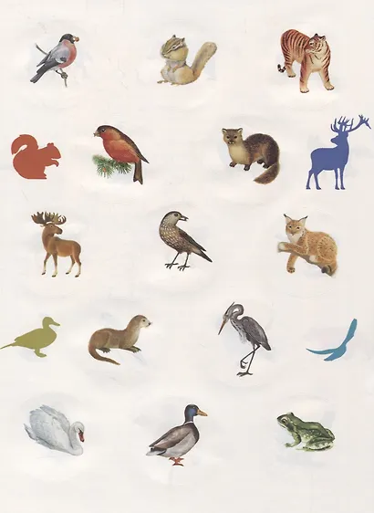 Животные России. Познавательные наклейки - фото 2