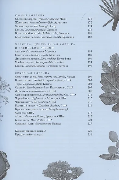 Вокруг света за 80 деревьев - фото 6