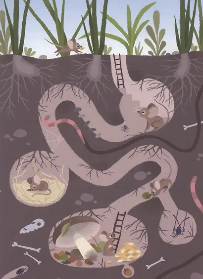 Этот удивительный мир вокруг - фото 5