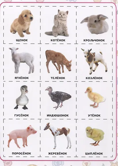 Родители и детки. Разрезные элементы - фото 2