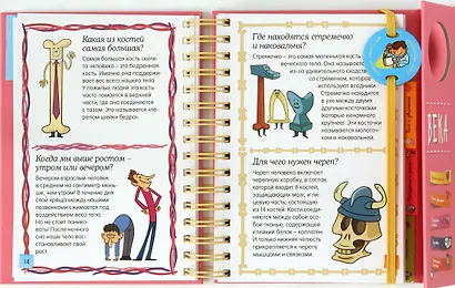 Тело человека - фото 5