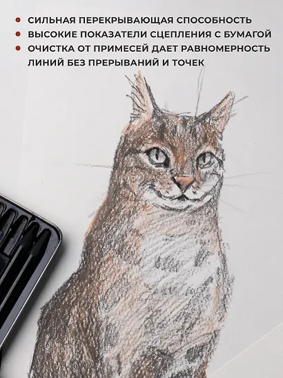 Набор графических материалов 08шт "Graf'Art" белый пастельн. карандаш, сангина светлая и темная, сепия светлая и темная, угольные карандаши 03шт, мет.коробка, Малевичъ - фото 7