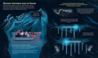 Кто светится в темноте? Невероятные факты о способностях животных - фото 5