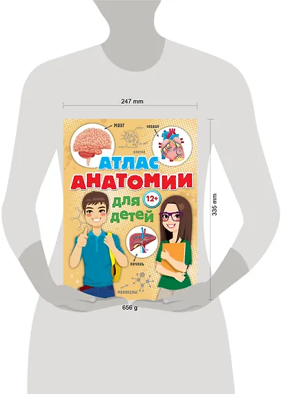 Атлас анатомии для детей - фото 3