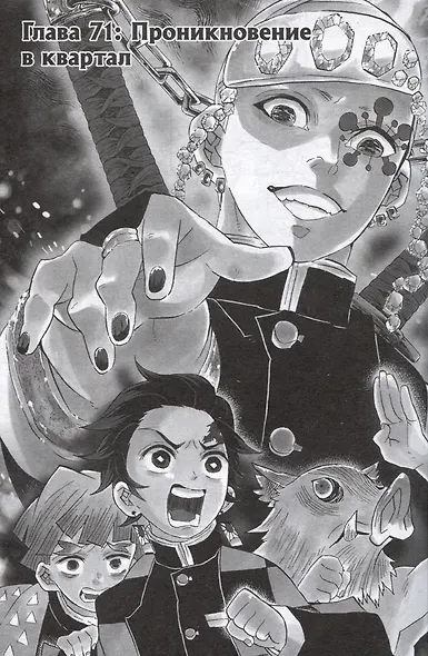 Истребитель демонов. Том 9 (Клинок, рассекающий демонов / Demon Slayer: Kimetsu no Yaiba). Манга - фото 5