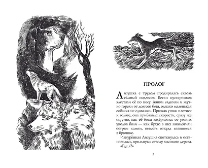 Путь изгнанницы - фото 2