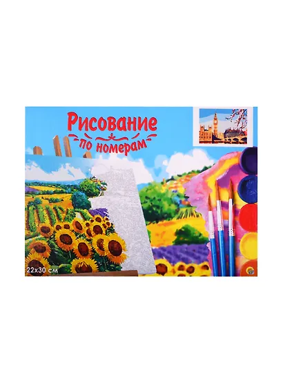 Набор для раскрашивания по номерам ТМ Рыжий Кот Холст с красками 22х30см Строгий Лондон (Арт. HS287) - фото 2