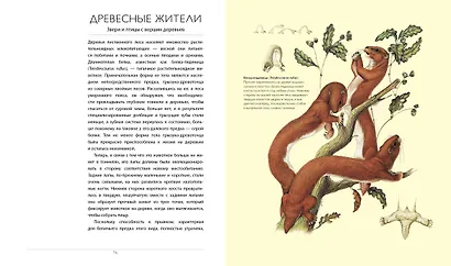 После человека. Зоология будущего - фото 5