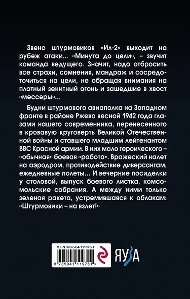 Штурмовик. Минута до цели - фото 2