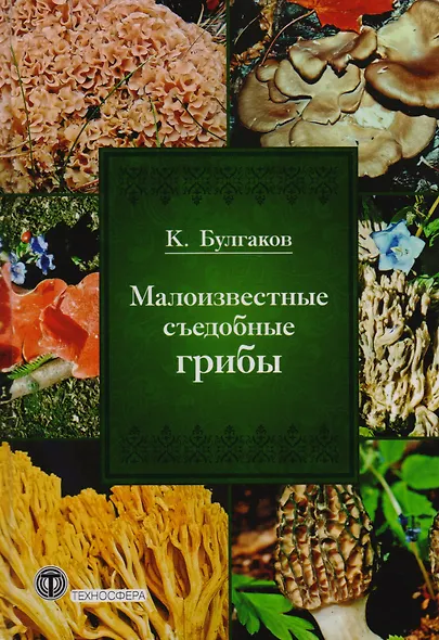 Малоизвестные съедобные грибы - фото 1