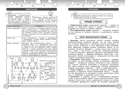 Биология - фото 13