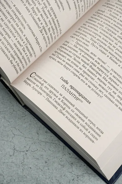 Властелин колец. Кн. 2-3. Две башни. Возвращение короля - фото 11